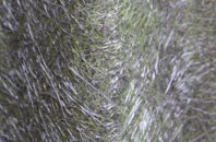 Pool Crofts fibreglass roof work